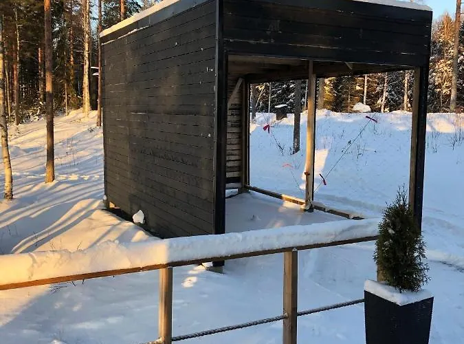 Star Lakeland Виитасаари